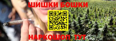 индика Гусев