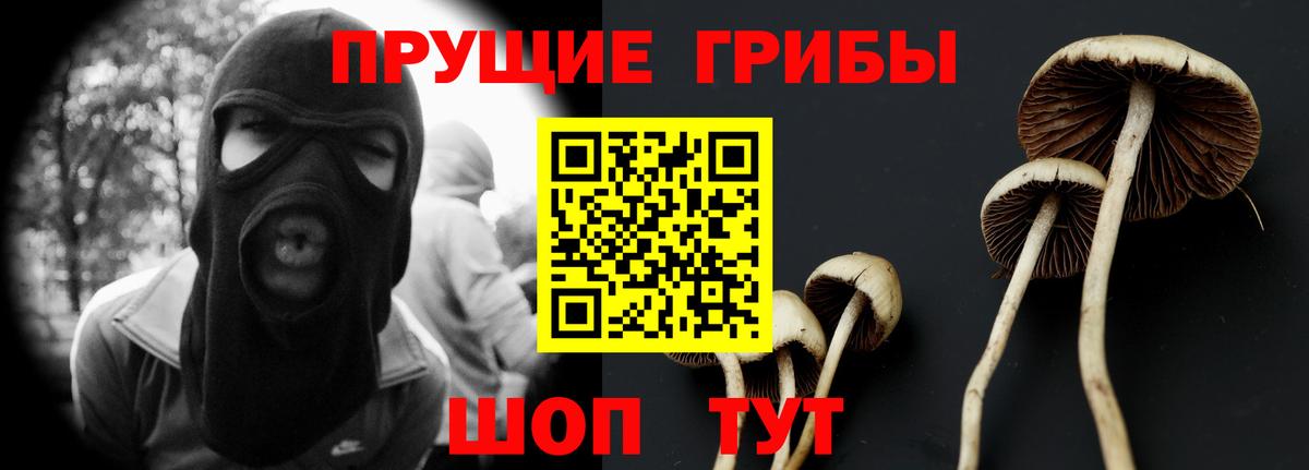 Галлюциногенные грибы Psilocybine cubensis  Галлюциногенные грибы мицелий  где купить наркоту  Вход с VPN  Евпатория 
